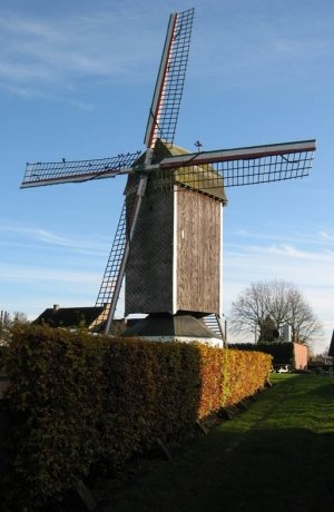Verstraete - 1993