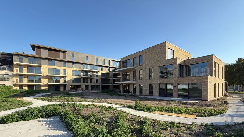 VUE